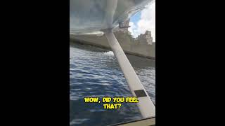 Crazy float plane landing in Central Parks Pond  MSFS20 [upl. by Alyad835]