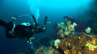 Spot Pantelleria Diving [upl. by Freya974]