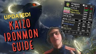 Updated Tutorial Pokemon Fire Red Kaizo Ironmon Installing and Setting Up Hidden Items and More [upl. by Groeg213]