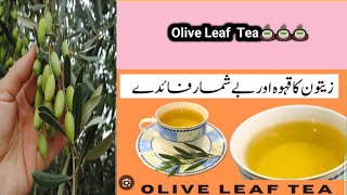 sardio ki sogat zaton k pato ka Qheva food cookin recipe volg anela farhan [upl. by Inod]