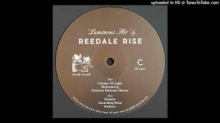 Reedale Rise  Shimmering  KONDI 019 [upl. by Emeric]