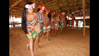 Embera Village Tour Hines Tours [upl. by Sandell921]