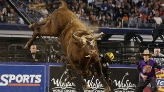 Bushwacker He is Muhammad Ali PBR [upl. by Bluefield]