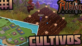 Introducción al Albion Online  Cultivos de Zanahoria [upl. by Adaiha]