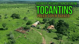 FAZENDA A VENDA NO TOCANTINS MUITO BARATA EM GOIATINSTO [upl. by Alilak]