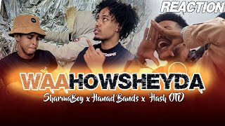 Sharma Boy Waa Howsheyda ft Hanad Bandz x Hash OTD  ArimaHeena Reactions [upl. by Uon]