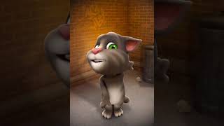 Talking Tom game [upl. by Melburn]