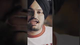 These days song sidhumoosewala shortvideos shortfeed shorts viralvideo viralshort trending [upl. by Steady]