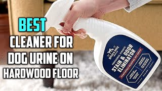 Best Cleaner for Dog Urine on Hardwood Floor in 2023  Top 5 Review and Buying Guide [upl. by Galateah]