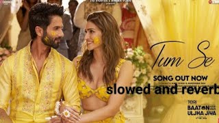 TUM SE  slowed and reverb  Shahid Kapoor Kriti Sanon  Sachin Jigar Raghav Chaitanya  New [upl. by Ralston]