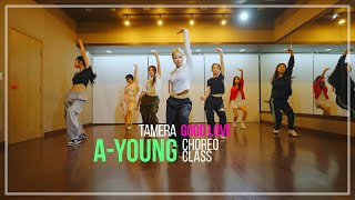 Tamera  Good Love feat Tay Iwar  AYOUNG CHOREO CLASS [upl. by Nugesulo]