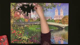 Trefl Central Park New York 1000 piece puzzle Trefl 10467 [upl. by Alverson]