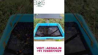 uv solar insect trap at affordable prices organic SolarInsectTrap PestControl farmersmarket [upl. by Inahs]