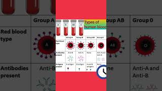 Types of human bloodshortsvideo shortsviral shorts human biology [upl. by Anegroeg]