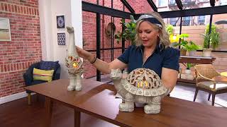 Compass Home Animal with Rain Boots LED Lit Luminary on QVC [upl. by Golter]