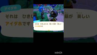 【あつ森】 アイダホ🧸とさっち🐱の会話。animalcrossing shorts [upl. by Brandise7]