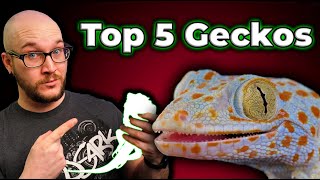 Top 5 BEST Geckos  Perfect Pets In A Small Package [upl. by Zulaledairam130]