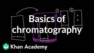 Basics of chromatography  Chemical processes  MCAT  Khan Academy [upl. by Yeclehc649]