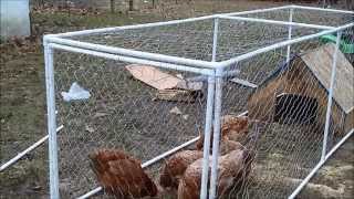 PVC Chicken Enclosure [upl. by Arolf818]