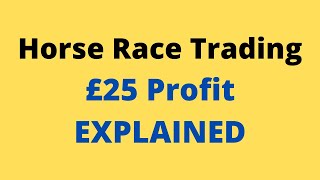 £25 Profit  Pre Race Horse Trading  Betfair Trading  EXPLAINED [upl. by Darnok]