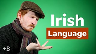 The Languages Spoken in Ireland [upl. by Rangel]