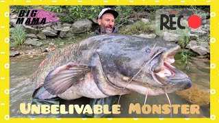 Giant 230 lbs catfish over 8 feet long fishing on a river by Catfish World [upl. by Glen759]