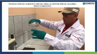 CURSO 2  MÓDULO I PRODUCCIÓN DE ALIMENTO INICIAL PARA LA OBTENCIÓN DE ALEVINES DE TILAPIA 2024 [upl. by Gobert525]