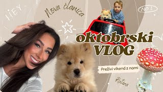 OKTOBRSKI VLOG  Nova članica gozd urejanje las … [upl. by Ky]