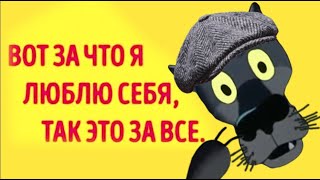 ✔️Я живу как положено… а положено у меня на всё Анекдоты с ВолкомВГостяхУВолка [upl. by Nnaassilem]