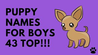 Puppy Names For Boys  43 CUTE IDEAS  Names [upl. by Neuberger204]