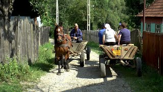 Romania Village Life in Transylvania [upl. by Ulrick449]