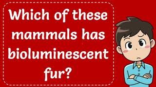 Which of these mammals has bioluminescent fur The Correct Answer [upl. by Okihcim840]