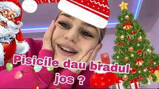 VLOGMAS 2 Decoram casa🥳🎄 [upl. by Abby]