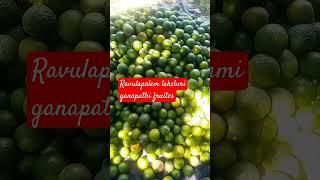 Ravulapalem lakshmi Ganapathi fruites fresh narinja availableshots viralvideos youtube [upl. by Lenka732]