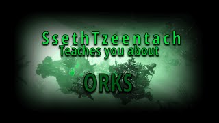 SsethTzeentach Teaches You About The Orks  Warhammer 40k Shitposts [upl. by Noreht]