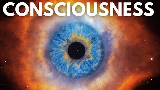 The Greatest Scientific Theories On Consciousness You Need to Know [upl. by Nauqyaj]