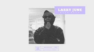 Larry June Type Beat  quotSEASONSquot Prod by RaidenGotDisciples [upl. by Whitten]