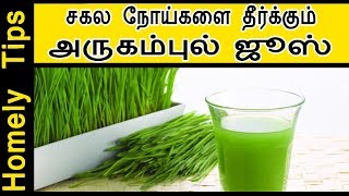 சகல நோய்களை தீர்க்கும்  அருகம்புல் ஜூஸ் arugampul juice recipe in tamil [upl. by Lorak]