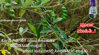 ತೊಗರಿ ಗಿಡಗಳಲ್ಲಿ ಕೀಟಗಳ ನಿರ್ವಹಣೆಗೆ ಯಾವ ಔಷದಿ ಸಿಂಪಡಿಸಿದರೆ ಉತ್ತಮ ಪೂರ್ಣ ಮಾಹಿತಿ farming agriculture [upl. by Saucy]