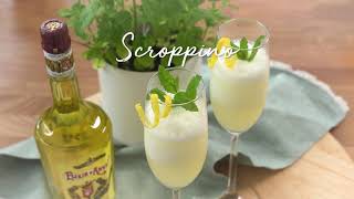 Scroppino met Elixir dAnvers Recept  njammie [upl. by Dawkins]