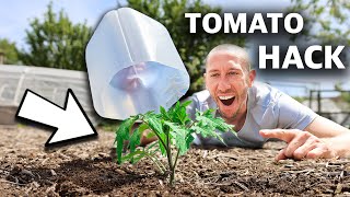 10 FREE Garden HACKS Using Household Items You Cant Afford to Miss This [upl. by Bohlen]