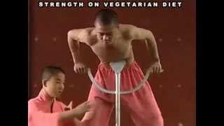 Amazing MMA facts Vegans invented Martial Arts UFC Shaolin Kungfu Not a Lowcarb Meat Recipe Diet [upl. by Vera]