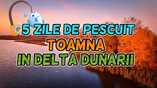 5 Zile De Pescuit Toamna In Delta Dunarii Zona Chilia [upl. by Dagney]