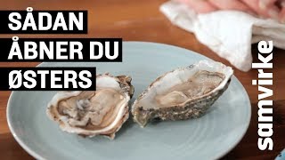 Sådan åbner du østers [upl. by Julienne]