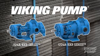 Boxboard Manufacturing Pumps  BXB Series™ [upl. by Baseler]