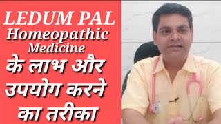 Ledum pal 30  ledum pal 200  ledum pal 1 m use in hindi  ledum pal homeopathic medicine in hindi [upl. by Neerac]