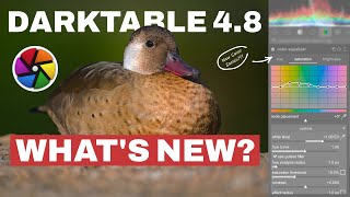 Darktable 48 Whats NEW 9 Things You Need To Know [upl. by Dickens]