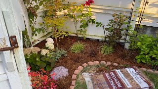 Planting up a container Dividing ornamental grass and laying mulch [upl. by Kajdan735]