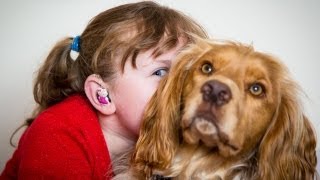 My deaf child and her hearing dog [upl. by Atikihs30]