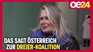 Das sagt Österreich zur DreierKoalition [upl. by Retxed26]